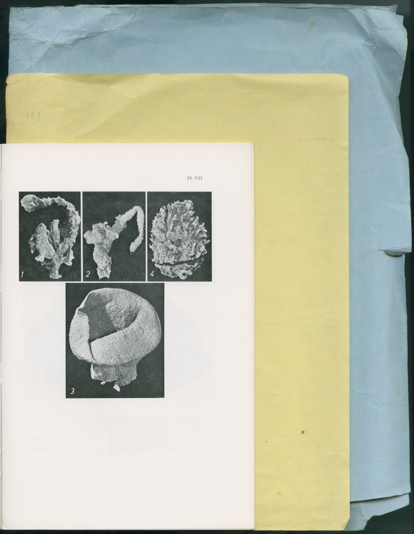 Carmabi Collected Papers Volume 13 - Nos. 225-258, 1978-1979 - New Page