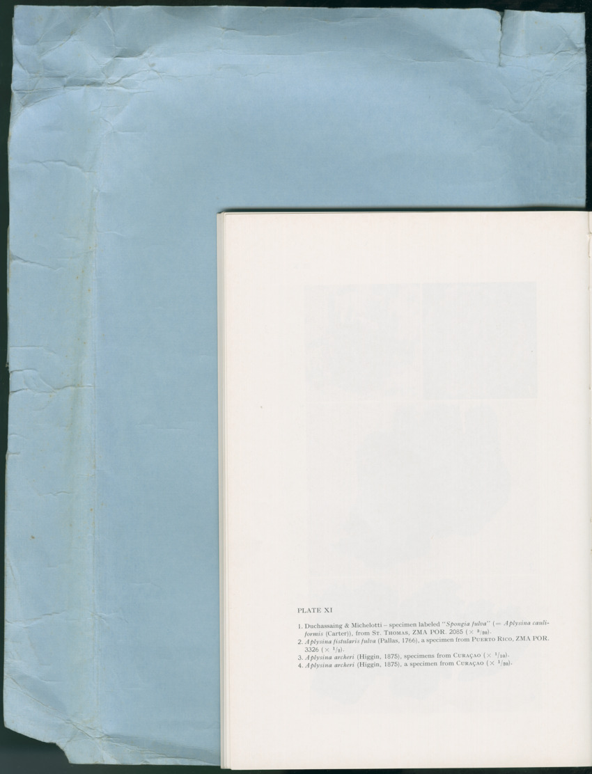 Carmabi Collected Papers Volume 13 - Nos. 225-258, 1978-1979 - New Page