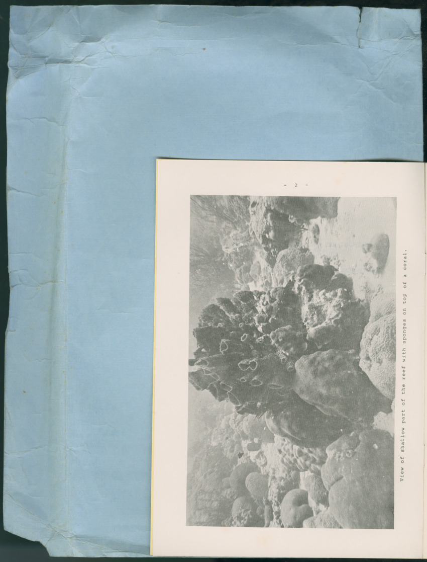 Carmabi Collected Papers Volume 13 - Nos. 225-258, 1978-1979 - New Page