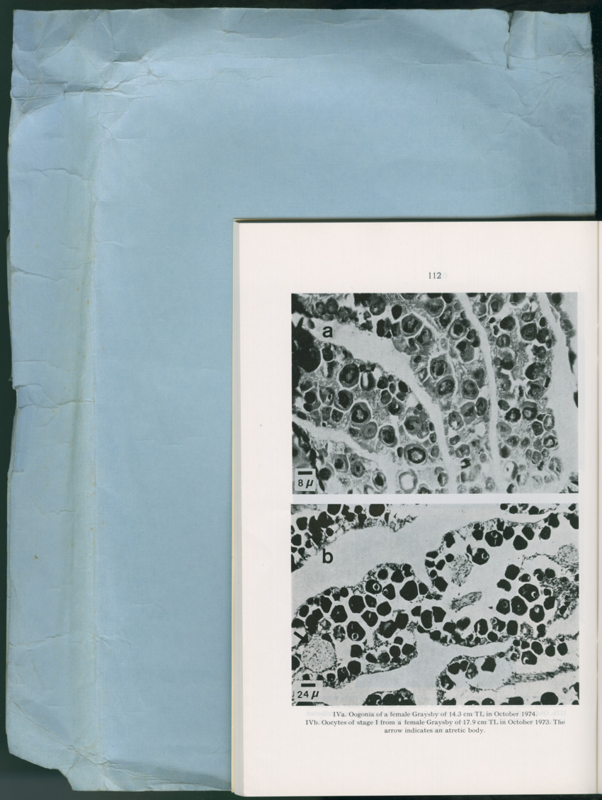 Carmabi Collected Papers Volume 13 - Nos. 225-258, 1978-1979 - New Page