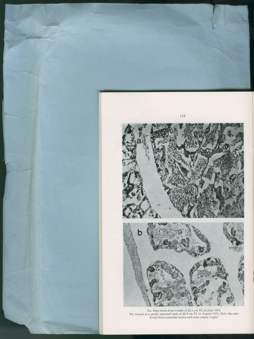 Carmabi Collected Papers Volume 13 - Nos. 225-258, 1978-1979 - New Page