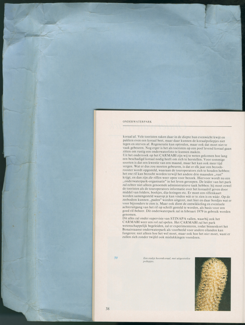 Carmabi Collected Papers Volume 13 - Nos. 225-258, 1978-1979 - New Page