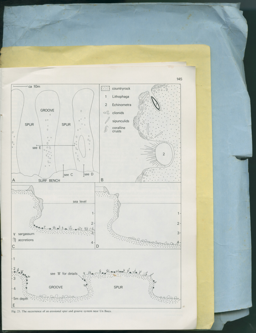 Carmabi Collected Papers Volume 13 - Nos. 225-258, 1978-1979 - New Page