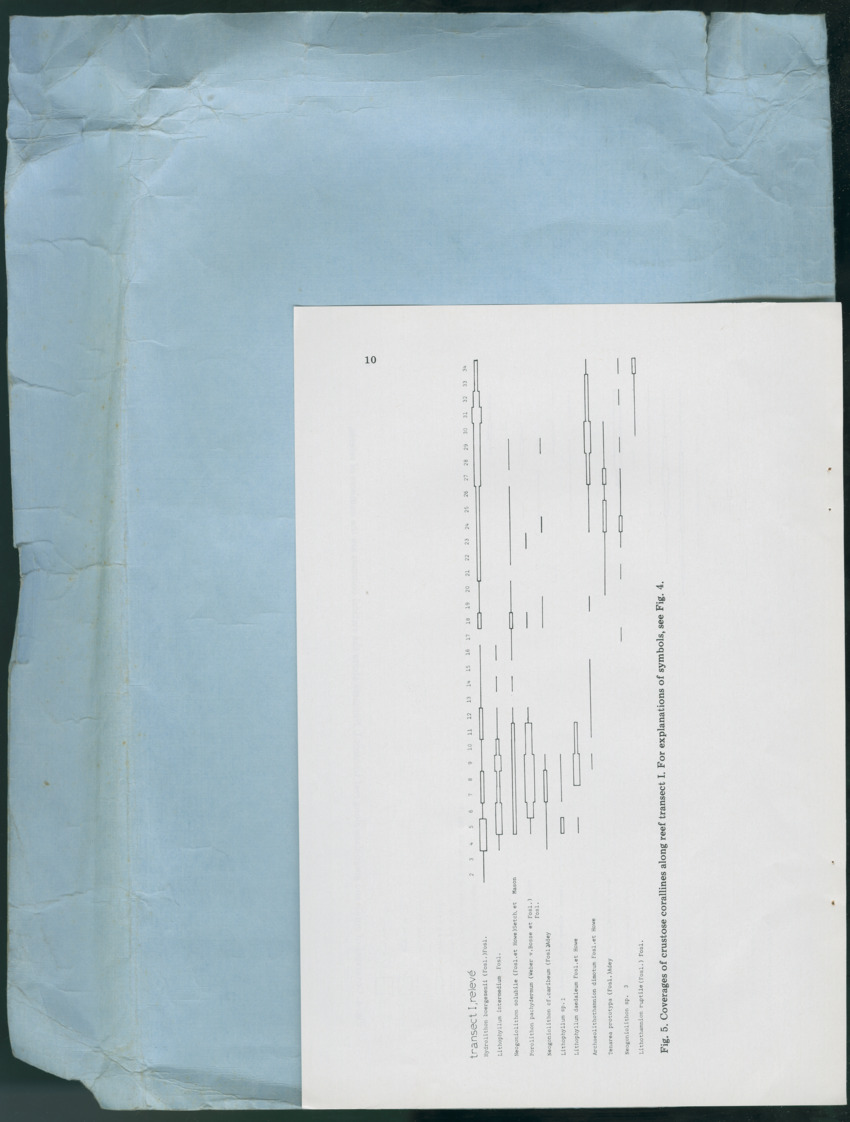 Carmabi Collected Papers Volume 13 - Nos. 225-258, 1978-1979 - New Page