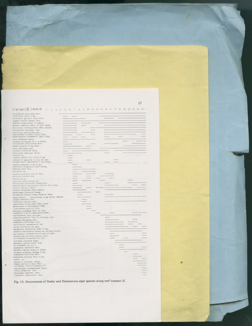 Carmabi Collected Papers Volume 13 - Nos. 225-258, 1978-1979 - New Page