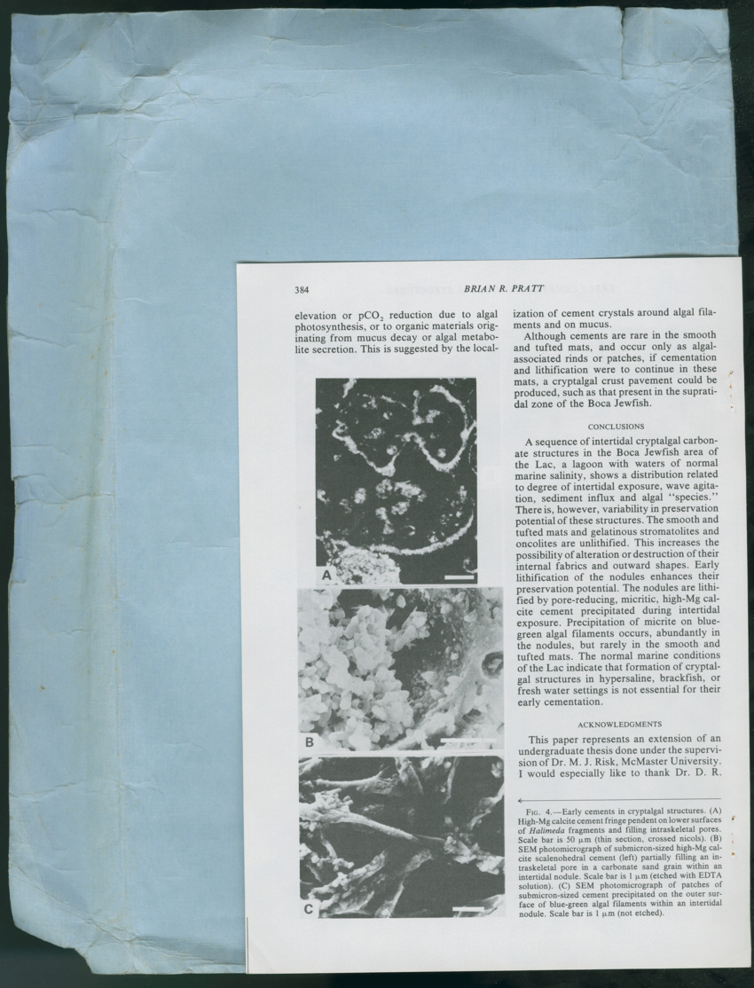 Carmabi Collected Papers Volume 13 - Nos. 225-258, 1978-1979 - New Page