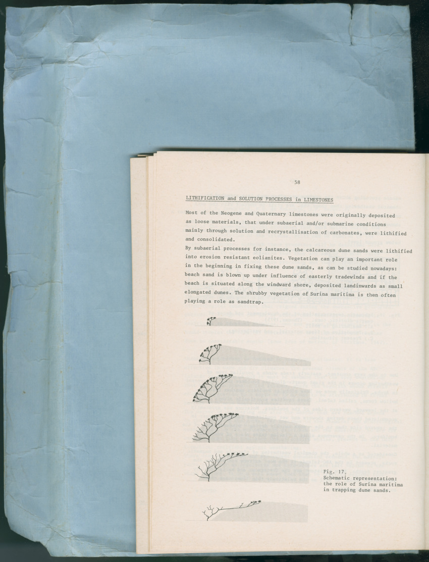 Carmabi Collected Papers Volume 13 - Nos. 225-258, 1978-1979 - New Page