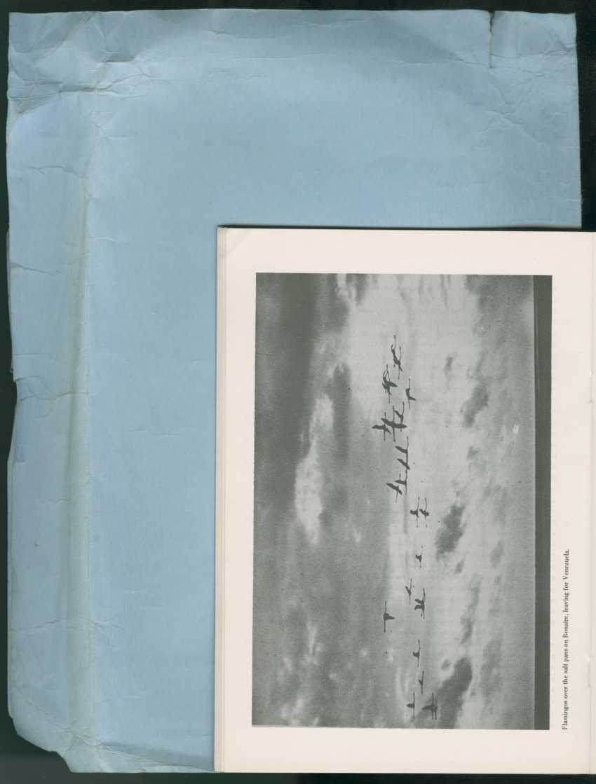 Carmabi Collected Papers Volume 13 - Nos. 225-258, 1978-1979 - New Page