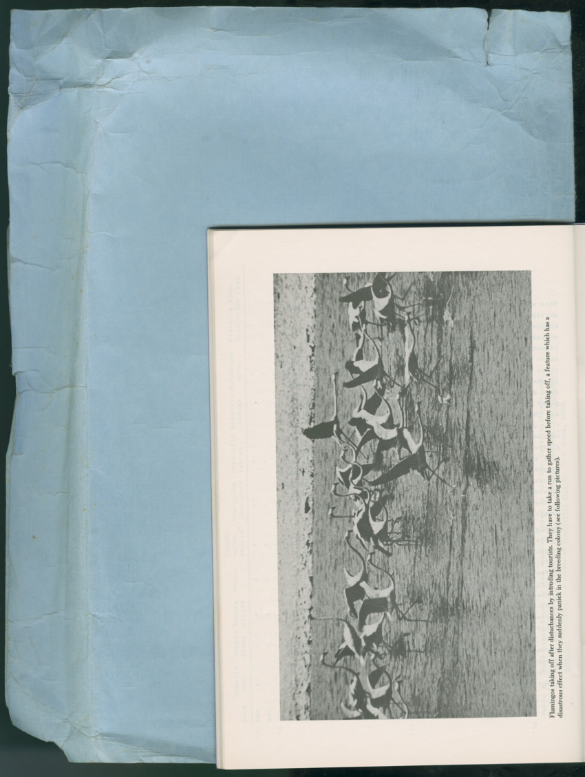 Carmabi Collected Papers Volume 13 - Nos. 225-258, 1978-1979 - New Page