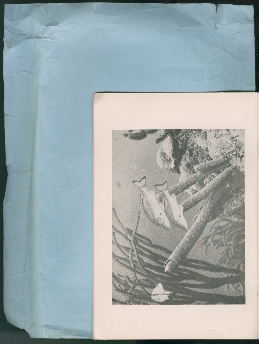 Carmabi Collected Papers Volume 13 - Nos. 225-258, 1978-1979 - New Page