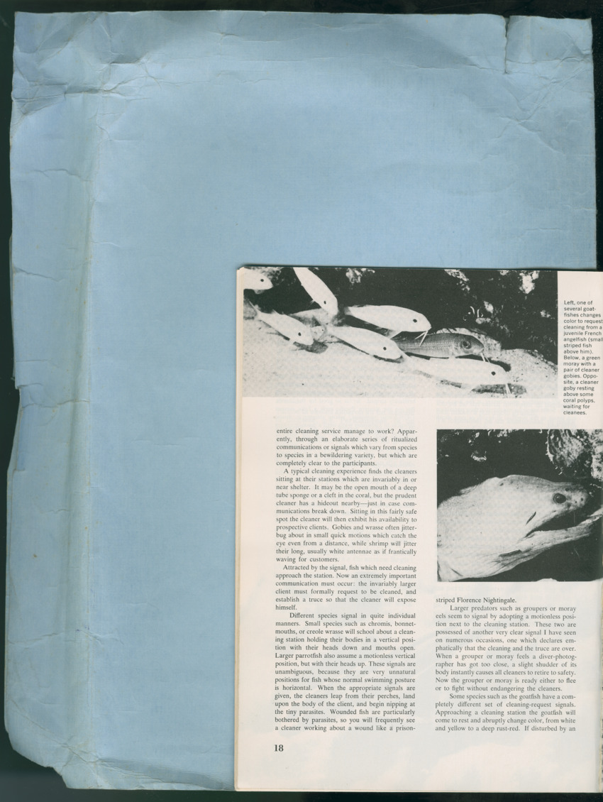 Carmabi Collected Papers Volume 13 - Nos. 225-258, 1978-1979 - New Page