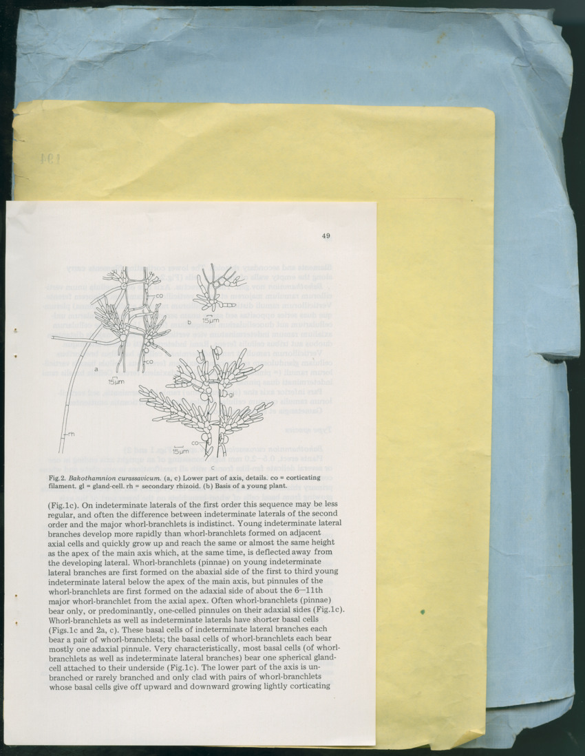 Carmabi Collected Papers Volume 13 - Nos. 225-258, 1978-1979 - New Page