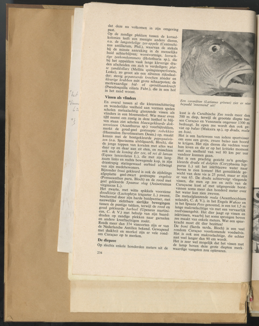 Carmabi selected publications in the period 1948-1963 - New Page