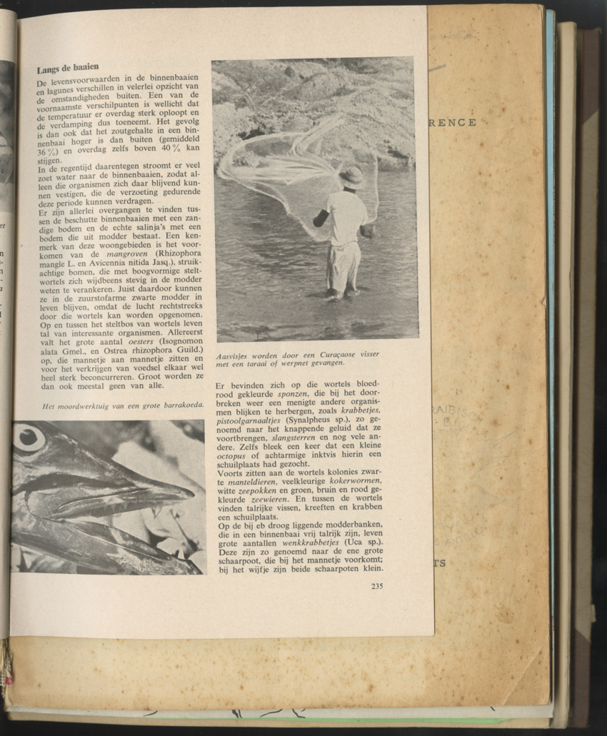 Carmabi selected publications in the period 1948-1963 - New Page