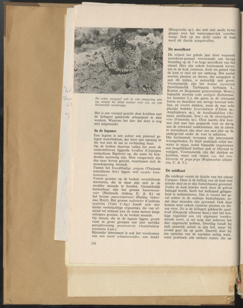 Carmabi selected publications in the period 1948-1963 - New Page