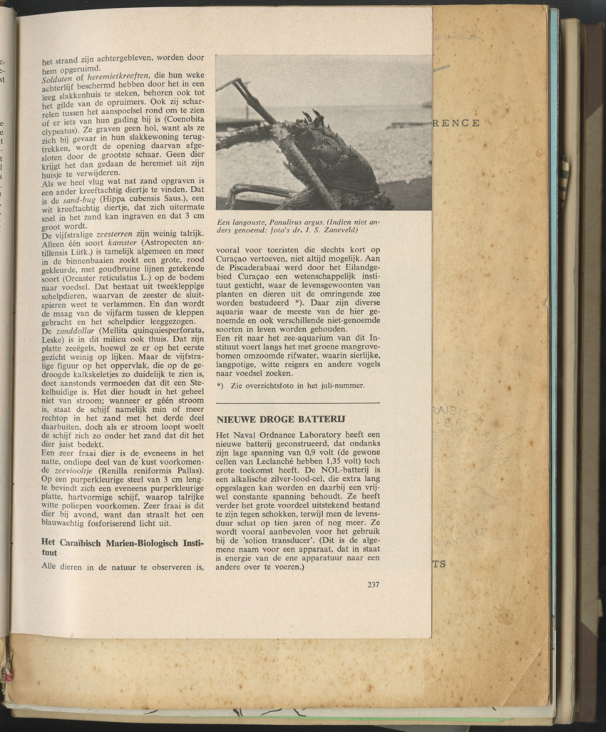 Carmabi selected publications in the period 1948-1963 - New Page