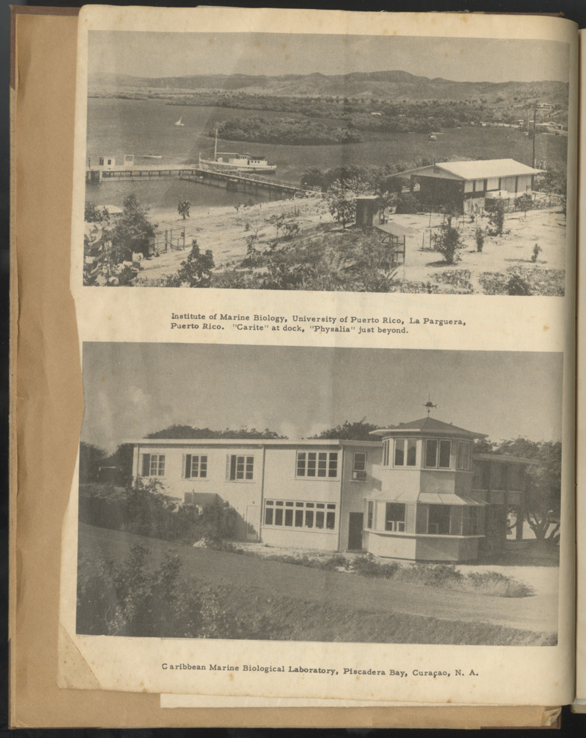 Carmabi selected publications in the period 1948-1963 - New Page