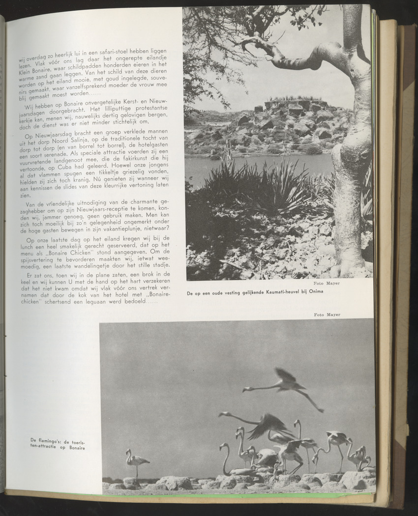 Carmabi selected publications in the period 1948-1963 - New Page
