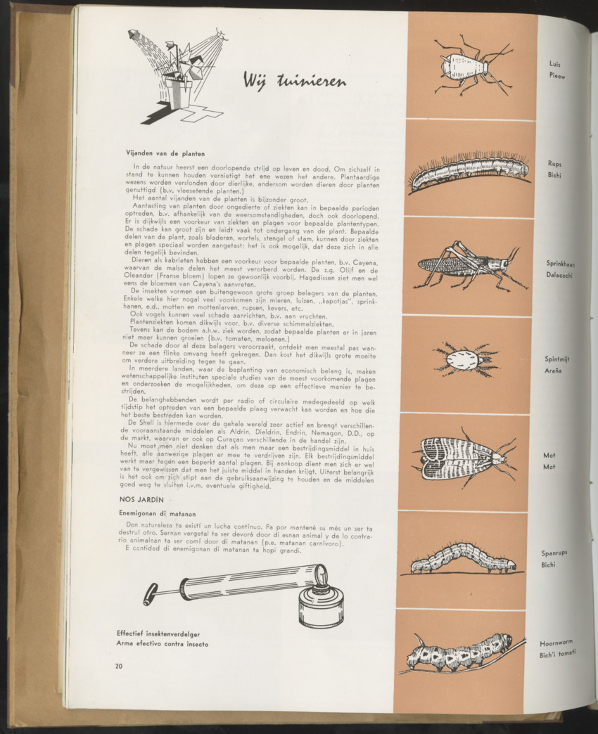 Carmabi selected publications in the period 1948-1963 - New Page