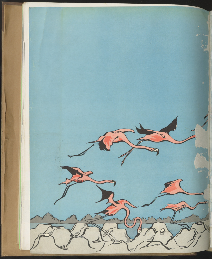 Carmabi selected publications in the period 1948-1963 - New Page