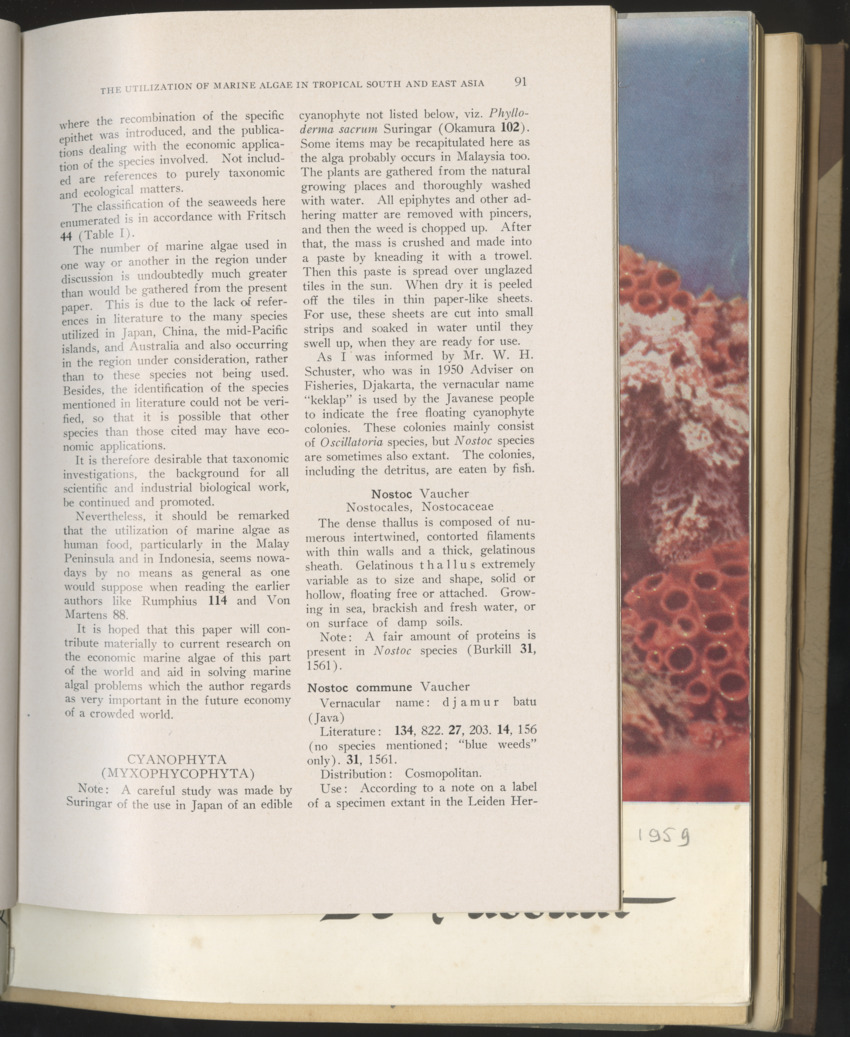 Carmabi selected publications in the period 1948-1963 - New Page