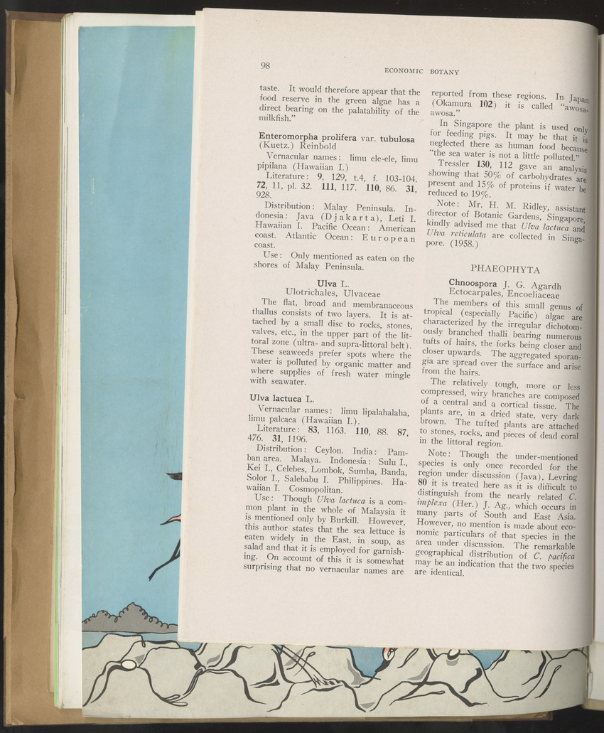 Carmabi selected publications in the period 1948-1963 - New Page
