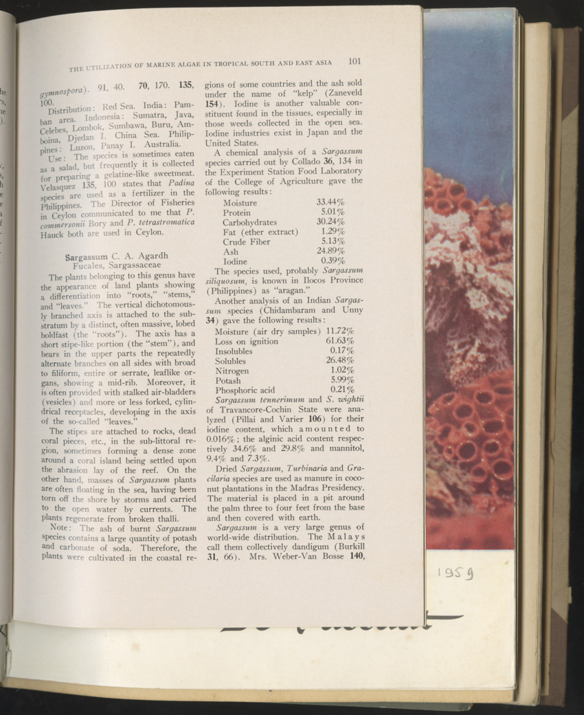 Carmabi selected publications in the period 1948-1963 - New Page
