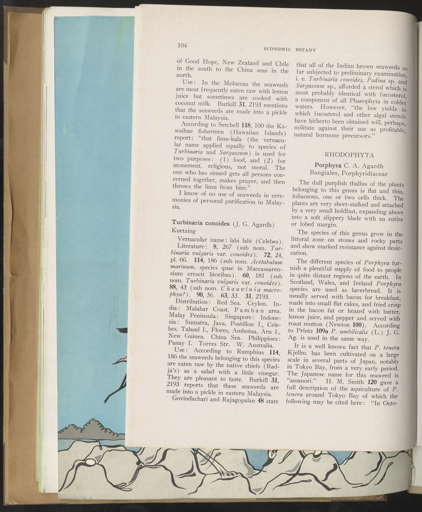 Carmabi selected publications in the period 1948-1963 - New Page