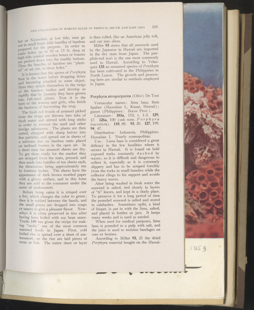 Carmabi selected publications in the period 1948-1963 - New Page