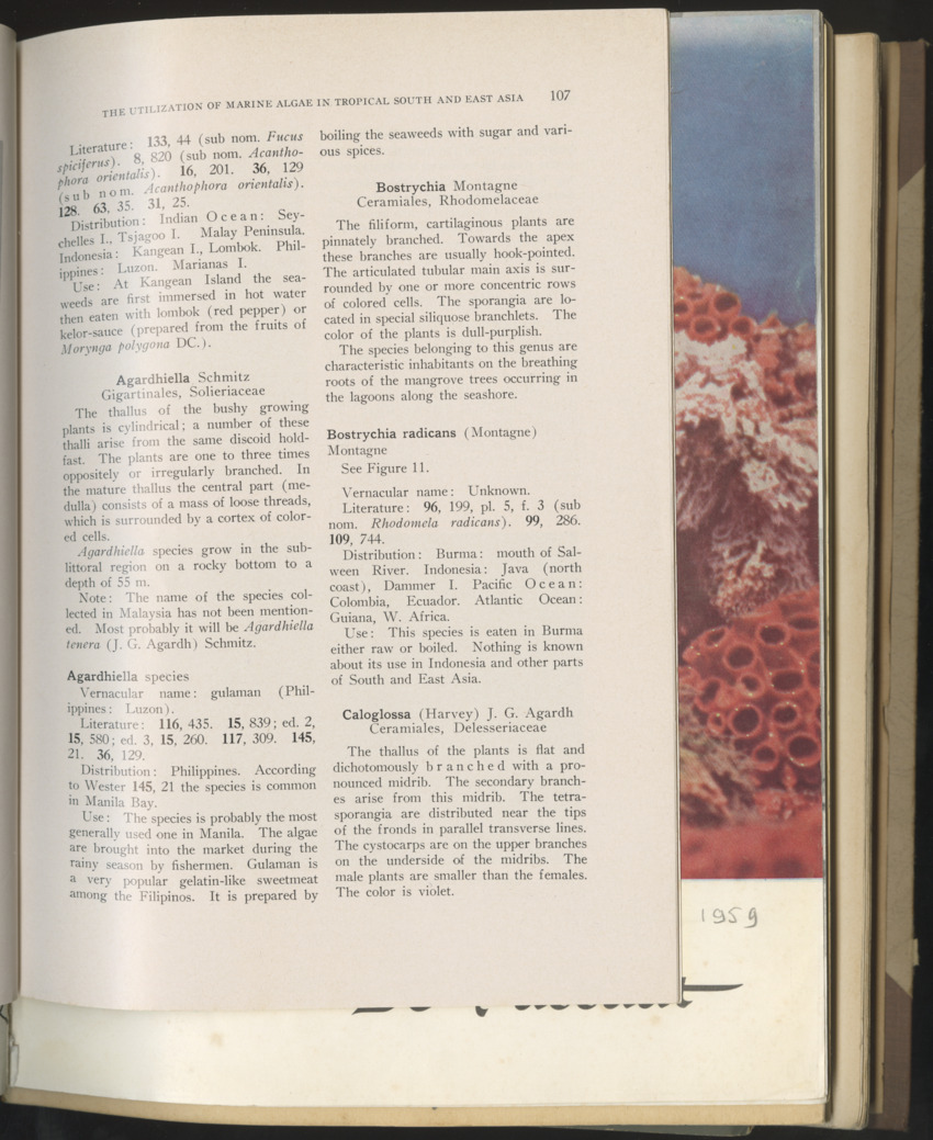 Carmabi selected publications in the period 1948-1963 - New Page