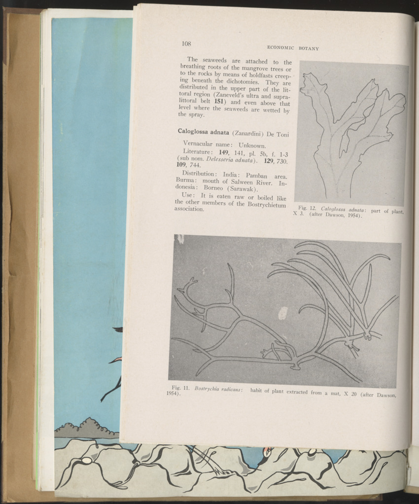 Carmabi selected publications in the period 1948-1963 - New Page