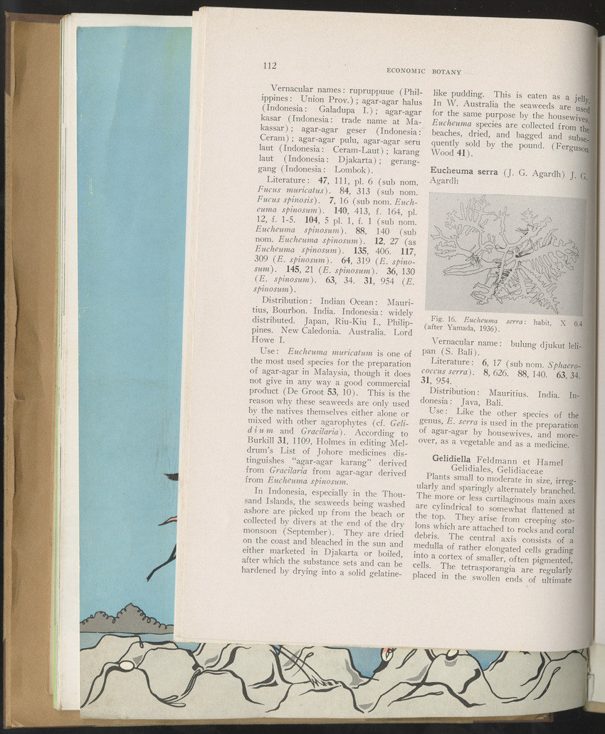 Carmabi selected publications in the period 1948-1963 - New Page