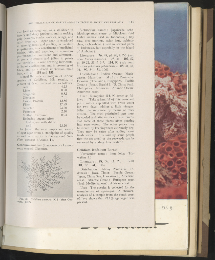 Carmabi selected publications in the period 1948-1963 - New Page