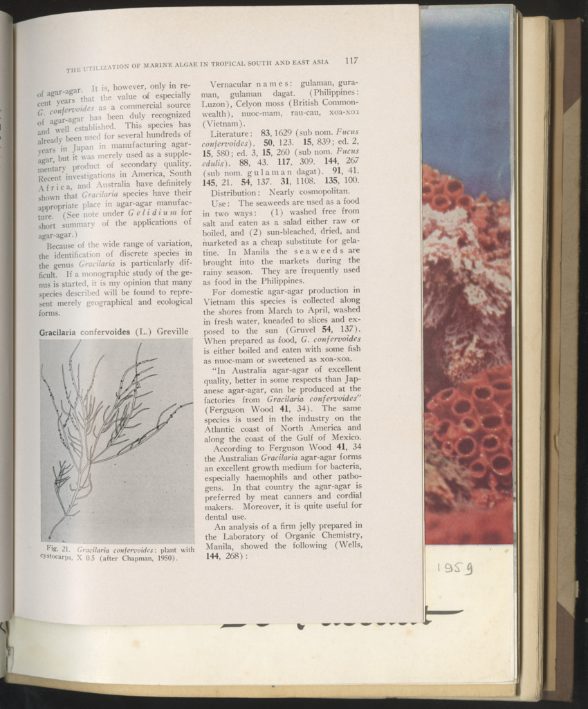 Carmabi selected publications in the period 1948-1963 - New Page