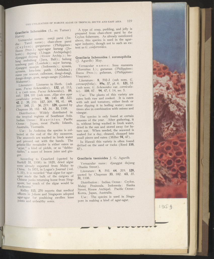 Carmabi selected publications in the period 1948-1963 - New Page