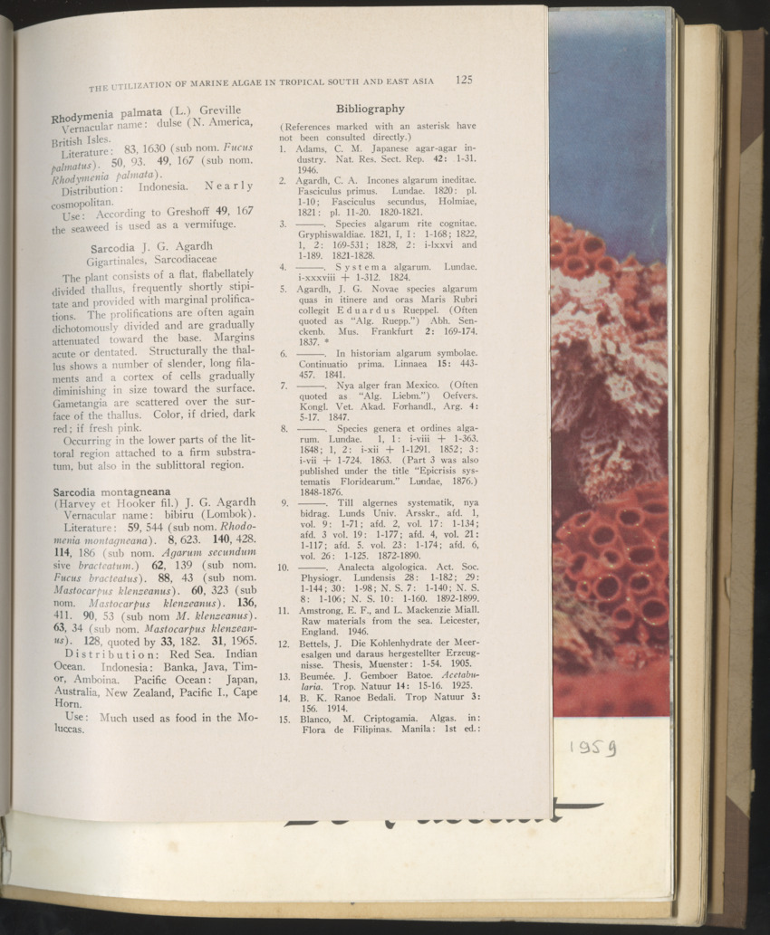 Carmabi selected publications in the period 1948-1963 - New Page