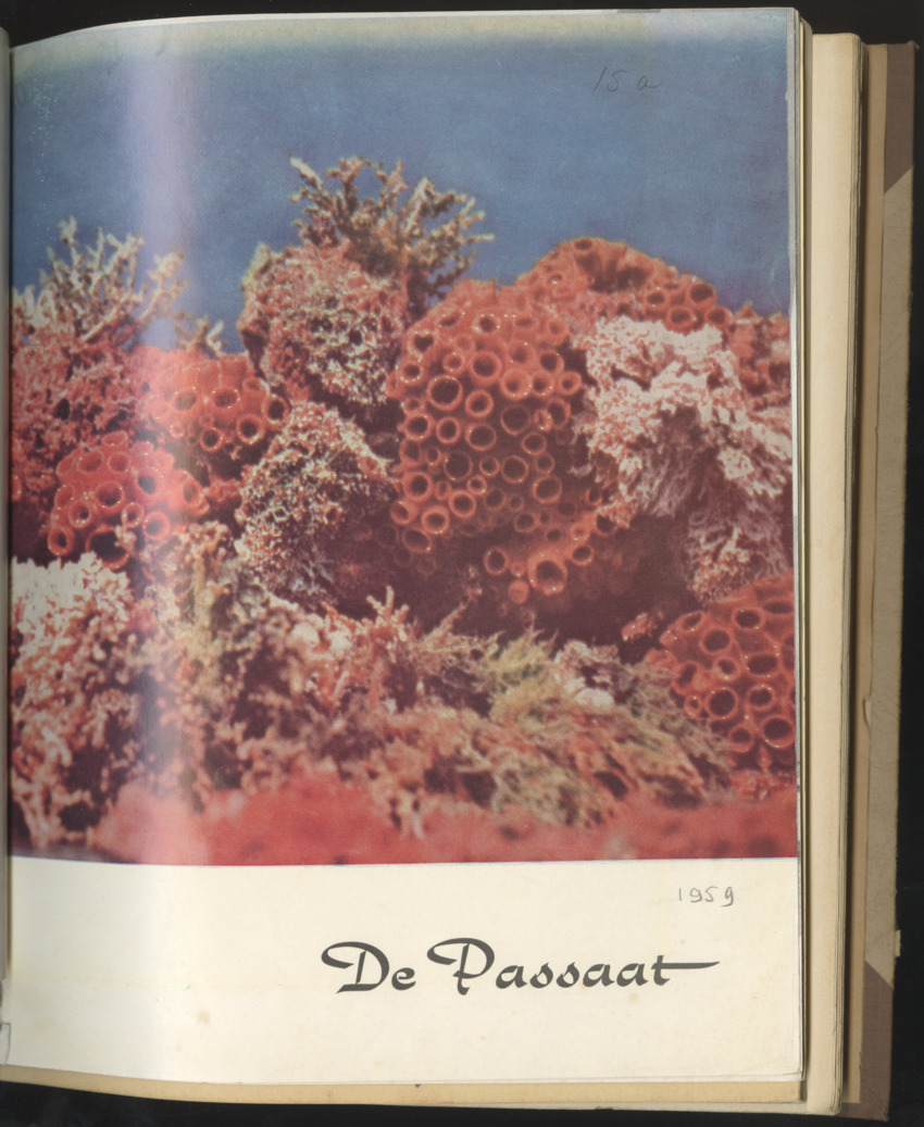 Carmabi selected publications in the period 1948-1963 - New Page