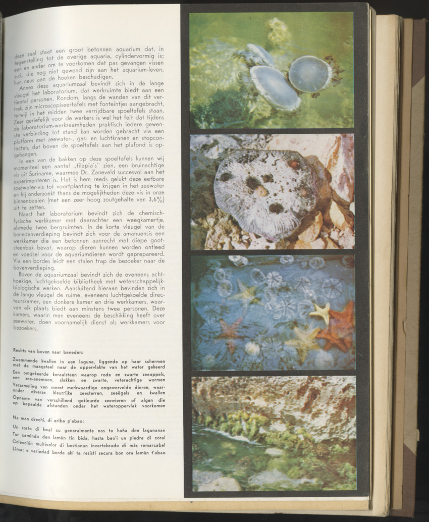 Carmabi selected publications in the period 1948-1963 - New Page