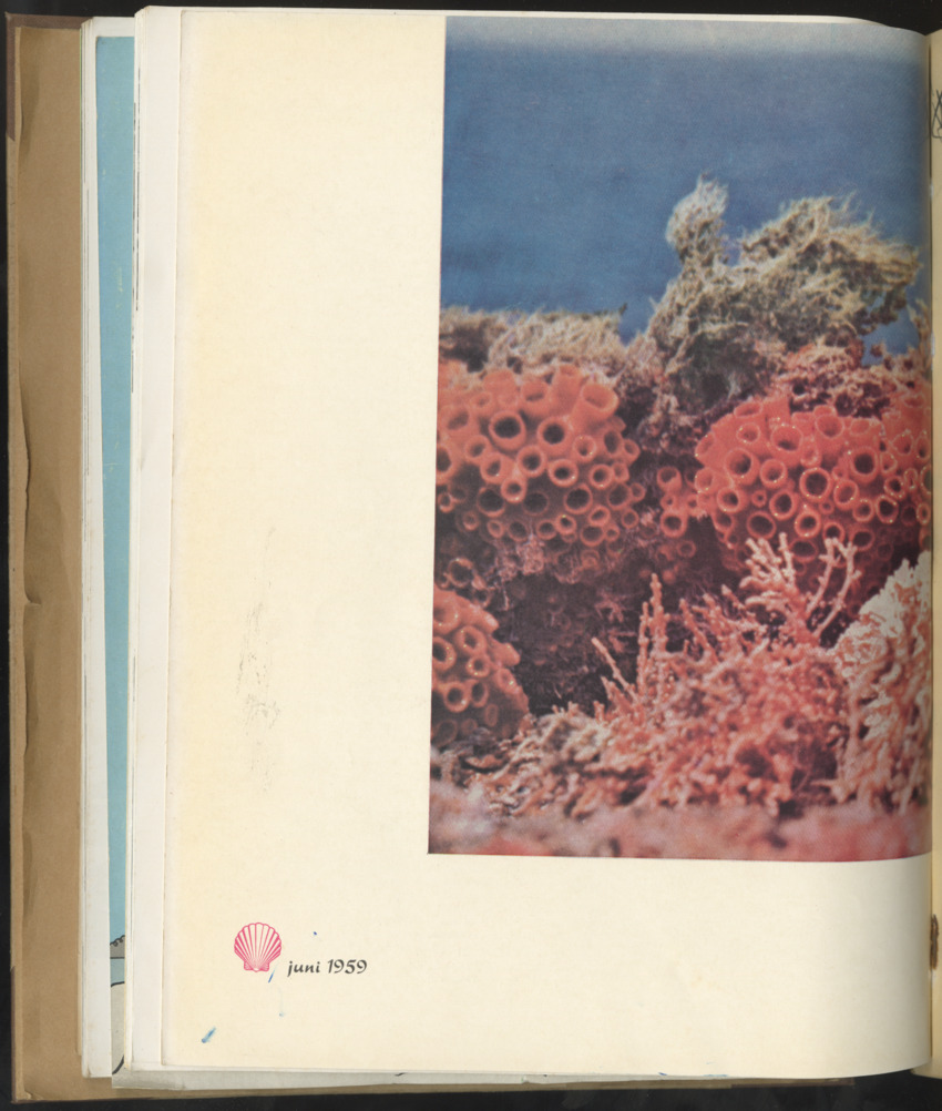 Carmabi selected publications in the period 1948-1963 - New Page