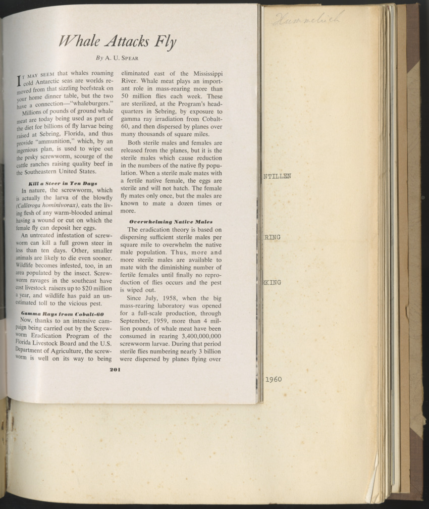 Carmabi selected publications in the period 1948-1963 - New Page
