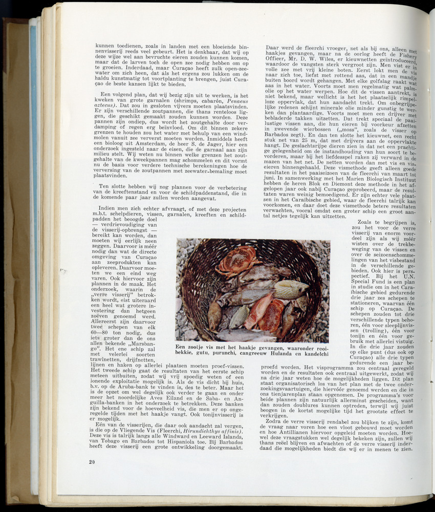 Carmabi selected publications in the period 1948-1963 - New Page
