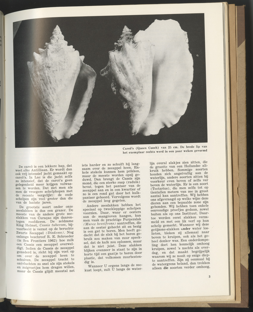 Carmabi selected publications in the period 1948-1963 - New Page