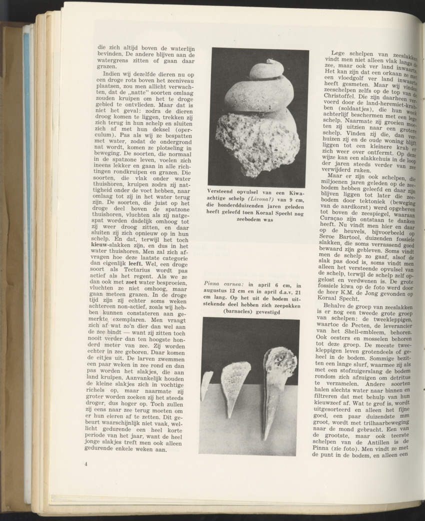 Carmabi selected publications in the period 1948-1963 - New Page