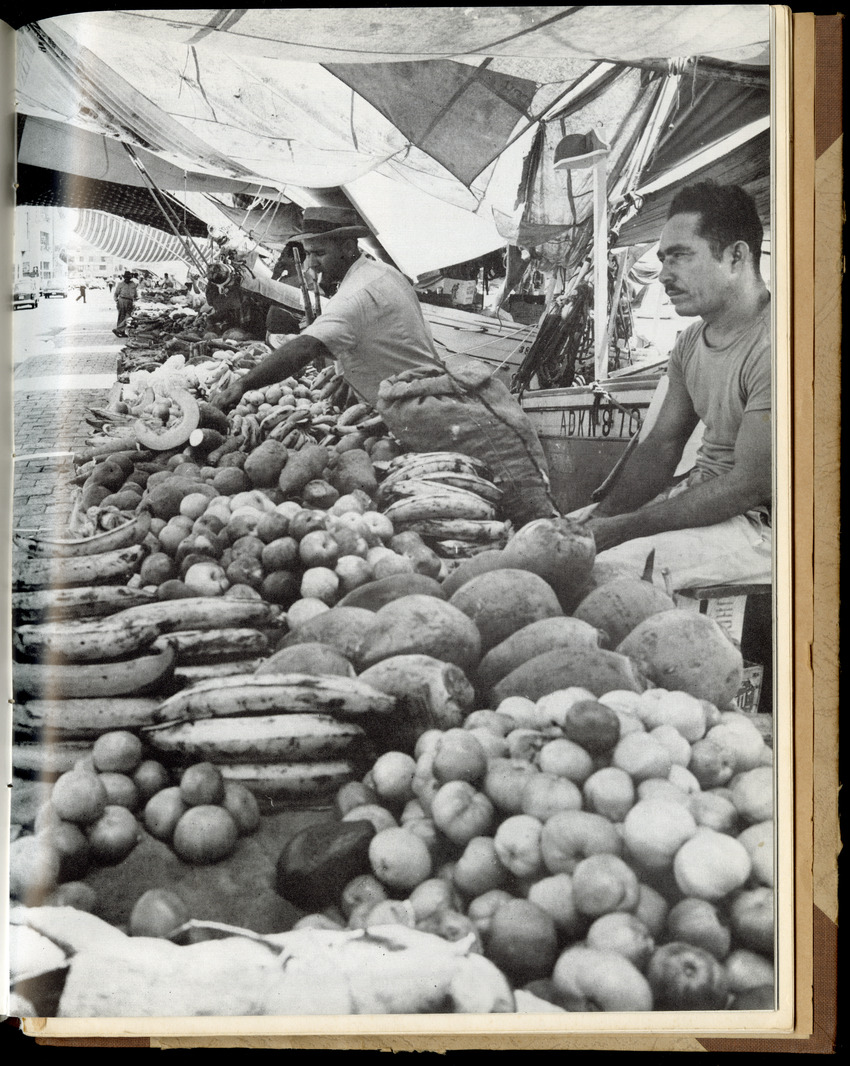 Carmabi selected publications in the period 1948-1963 - New Page