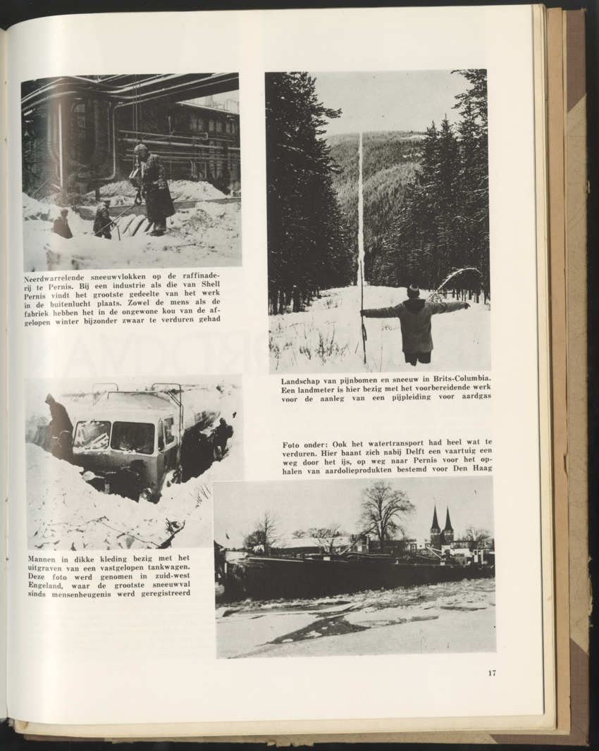 Carmabi selected publications in the period 1948-1963 - New Page