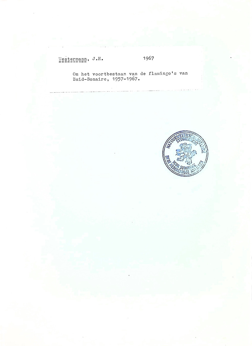 Om het voortbestaan van de flamingo's van Zuid-Bonaire, 1957-1967 - New Page