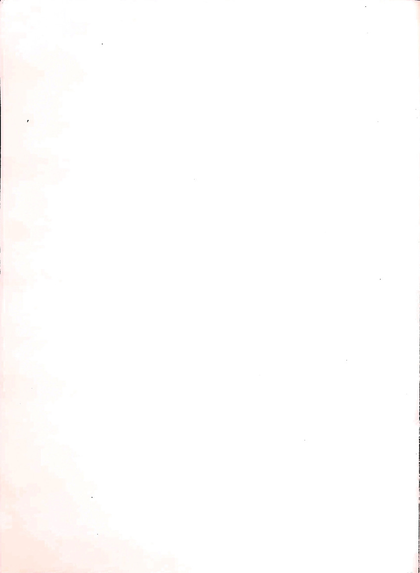 Om het voortbestaan van de flamingo's van Zuid-Bonaire, 1957-1967 - New Page