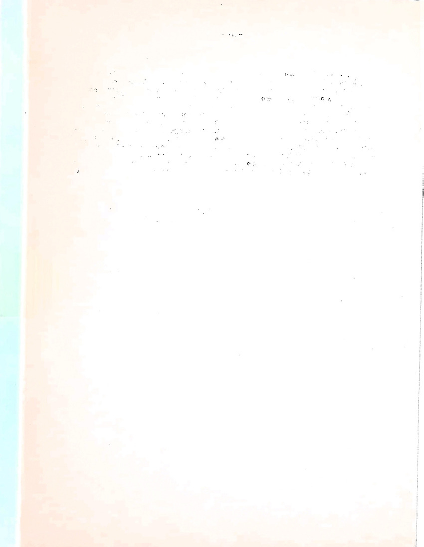Om het voortbestaan van de flamingo's van Zuid-Bonaire, 1957-1967 - New Page