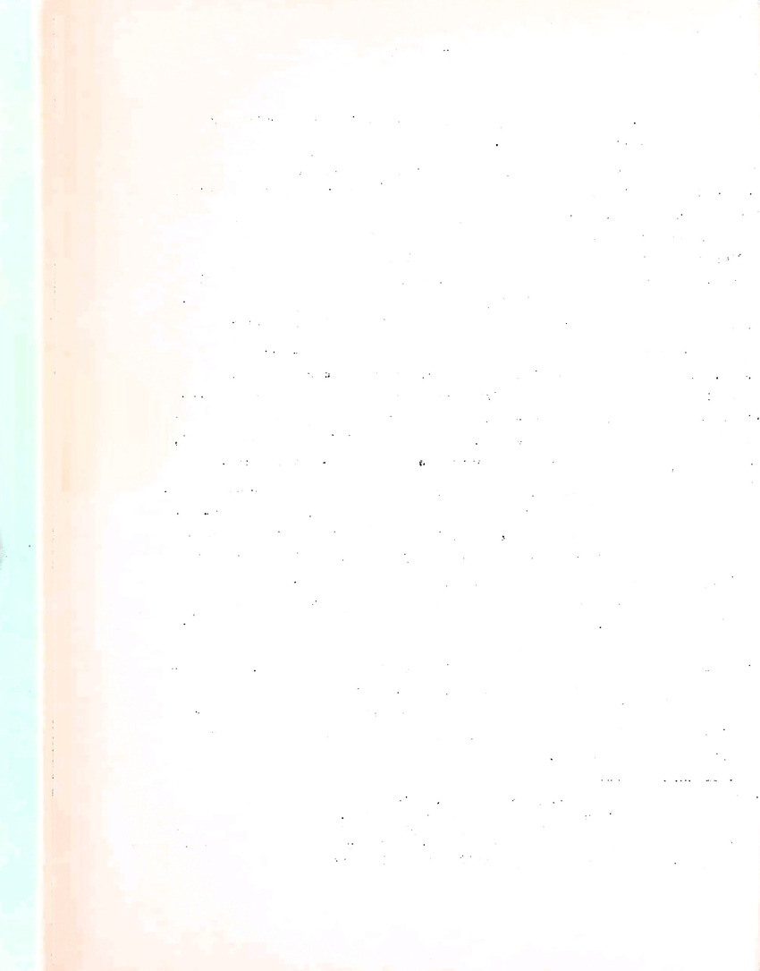 Om het voortbestaan van de flamingo's van Zuid-Bonaire, 1957-1967 - New Page