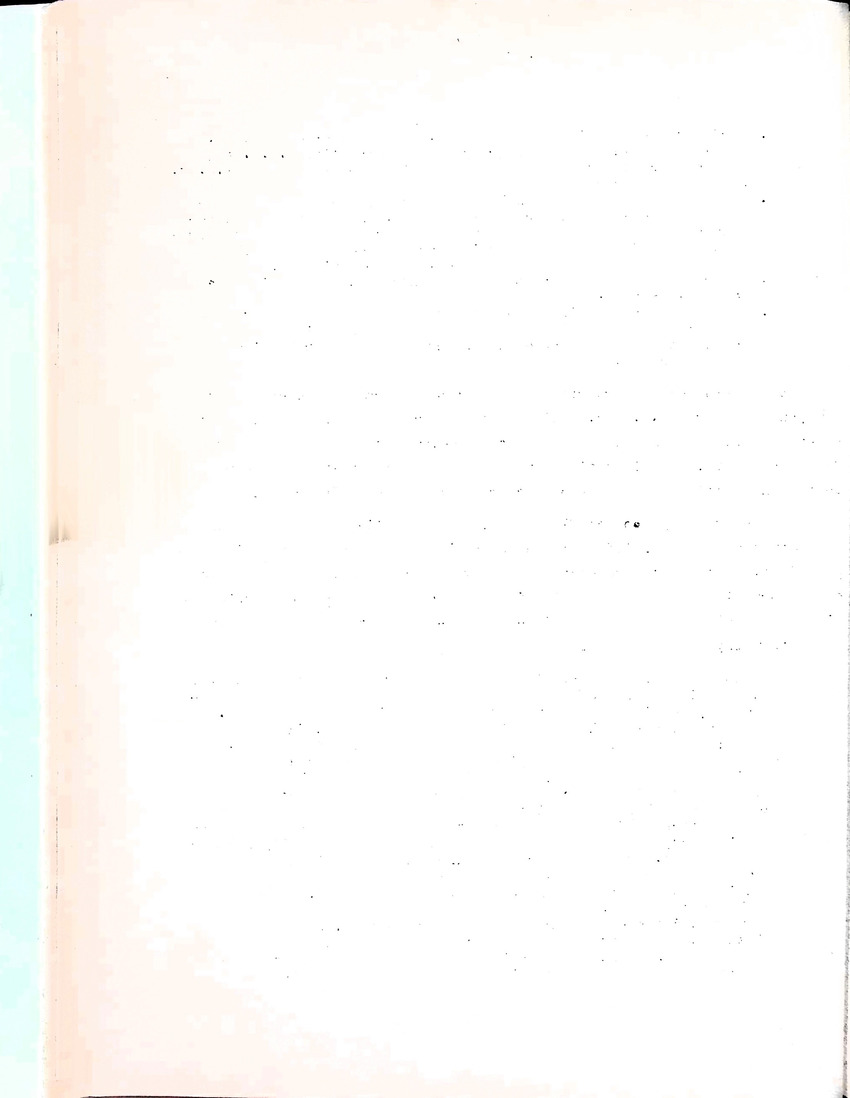 Om het voortbestaan van de flamingo's van Zuid-Bonaire, 1957-1967 - New Page
